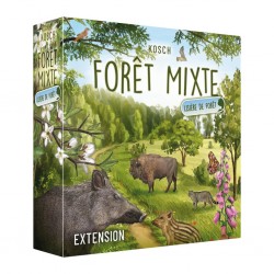 Forêt Mixte : Lisière de forêt