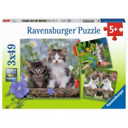 Puzzle 3x49 - Chatons tigrés